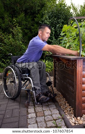 disabled young man in wheelchair in gardening, works outside