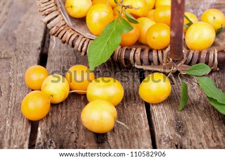 freshly harvested yellow plums in an old fruit basket on wooden table