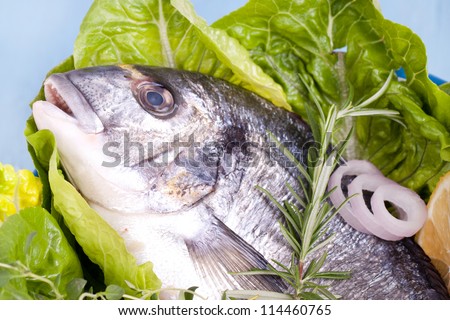 Fresh sea bream with lemon and green salad, Gilt-head bream ready to cook