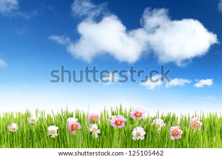 Green field with spring flowers and sun in blue sky, springtime
