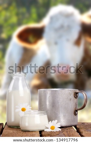bottles and jars with fresh milk products on old wooden table with a natural background with a cow