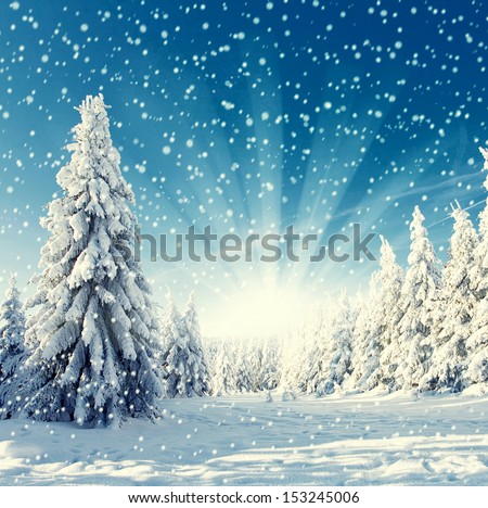 Amazing Winter Landscape - Snowfall, Sunlight And Blue Sky