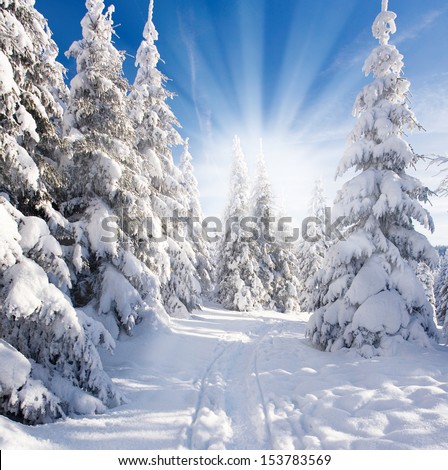 Winter Landscape With Blue Sky And Sunshine