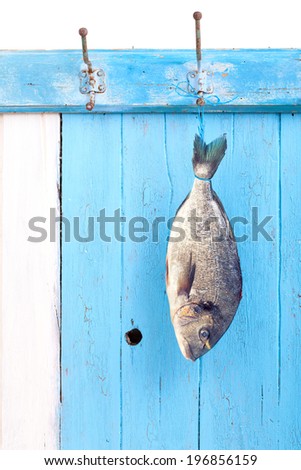 fresh fish hanging on an old wooden board on a hook in Mediterranean style