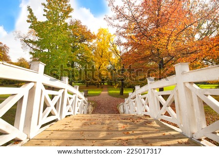 Footbridge in the autumn park. Autumn Landscape. Park in Autumn. Landscape with the autumn forest.