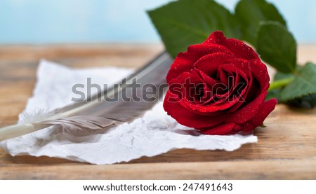 red rose, feather pen and old paper - love letter concept