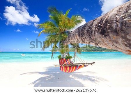 Romantic cozy hammock in the shadow of the palm on the tropical beach by the sea