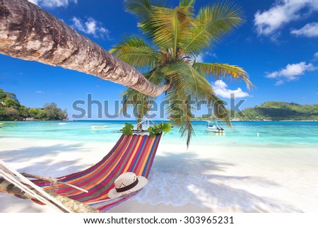 Romantic cozy hammock in the shadow of the palm on the tropical beach by the sea