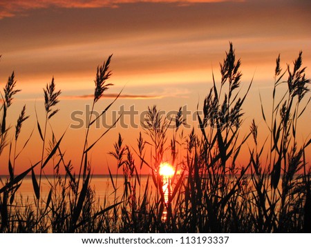 Sunset and the White Sea in summer season (Russia)