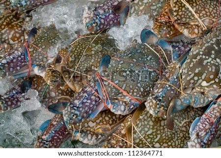pile of fresh crabs in the market