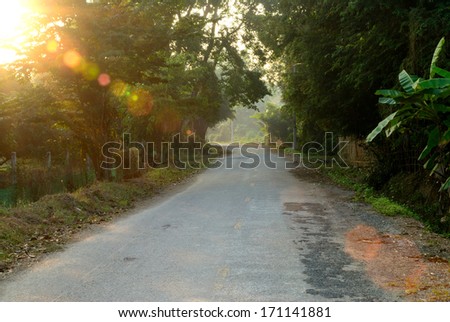 country road with sun flare