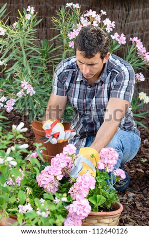 Man pruning flowers and plants in home garden. Caucasian male gardener working outdoor.
