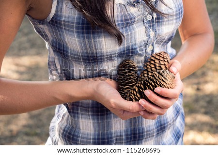 Woman gathering pine cones. She is holding a group in her hands.