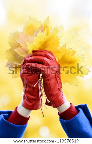 Autumn season concept. Hands wearing red gloves holding a bouquet of golden leaves on blur background.
