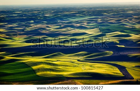 Yellow Green Wheat Fields Black Dirt Fallow Land from Steptoe Butte at Palouse Washington State Pacific Northwest.  Steptoe Butte is the highest spot in the Palouse, Washington.
