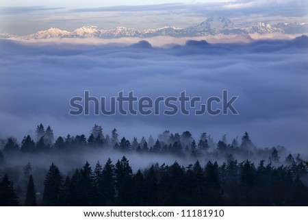 Fog Covers Seattle Washington with Olympic Mountains in Distance. Taken from Somerset, Bellevue, Washington in the morning