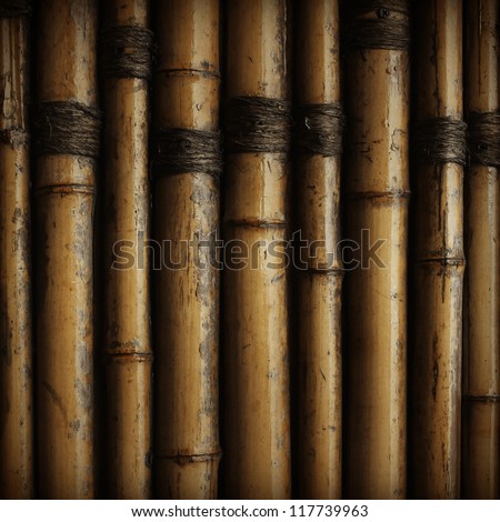 asia, bamboo, brown, burnt, china, fence, hardwood, japan, macro, nature, panel, pattern, pipe, plant, reed, row, stained, stem, striped, torn, tree, tropical, twig, vertical, wall, wood,  stick, rope