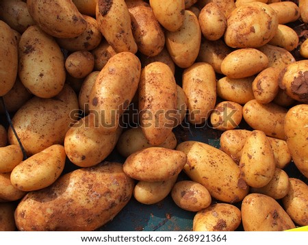 Fresh organic potatoes on display in a store market