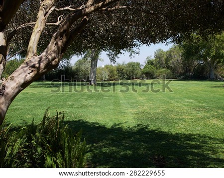 Green grass lawn field in big Mediterranean style design garden