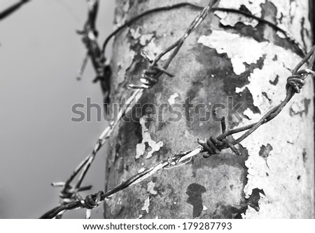barbed wire bind metal pillar in black and white tone