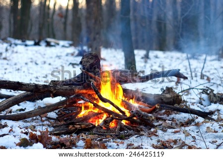 Fire In The Snowy Forest