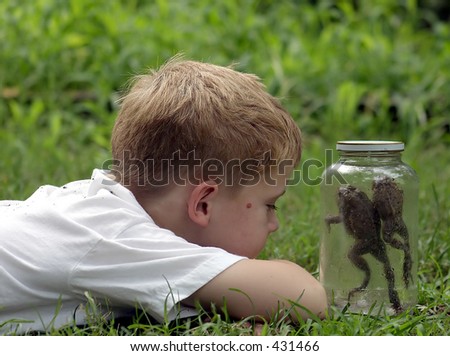 Jar Hopping.  Two toads hopping in a jar while a little boy looks on.