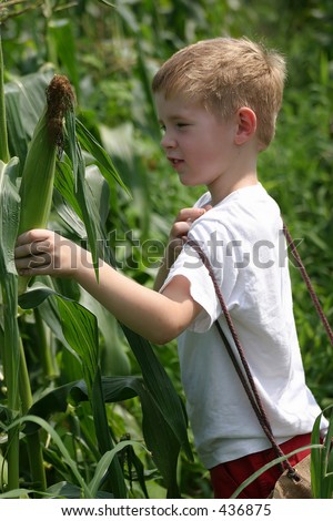 children of corn. Children In The Corn.