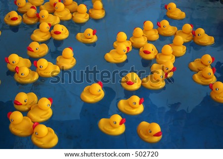 Rubber duckies in a pool at a carnival game.