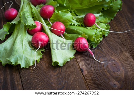 Lettuce and radishes - ingredients for a salad, a healthy food