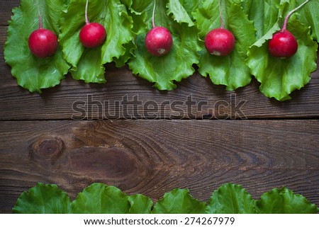 Lettuce and radishes - ingredients for a salad. Free space for text