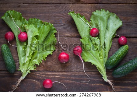 Lettuce cucumbers and radishes - ingredients for a salad.