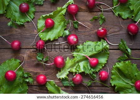 Lettuce  radishes and greens fresh and healthy food