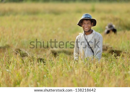 Happy farmer in rice field, Thailand