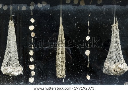 Fishing net decoration at a restaurant window, Arcachon, France