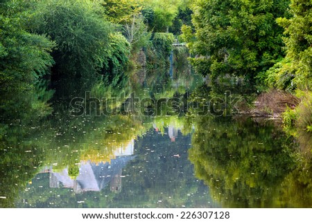 Forest reflecting on river in Quimperle city, Brittany, France