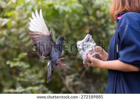 Girl feeding a Pigeon in a park