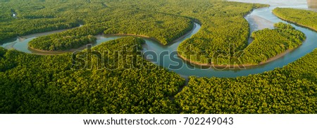 Aerial panoramic mangrove forest view in the Phang Nga bay, Thailand