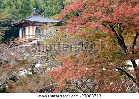 Japanese autumn scenery at Ryuanji temple, Osaka, Japan