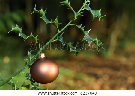 golden christmas ball hanging on holly tree branch