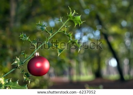 red christmas ball hanging on holly tree branch
