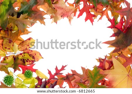 fall leaves frame on white background