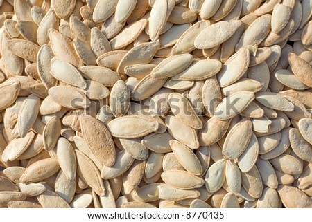 closeup of dried and salted pumpkins seeds
