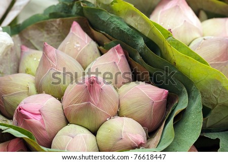 Fresh Lotus Bud Bouquet In Asian Flower Market Stock Photo 76618447 