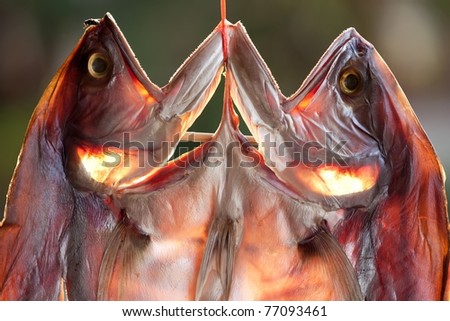 tropical fish cut in two symmetrical parts hanging and drying in asian market