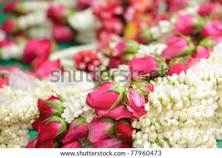 rose and white flower background, shallow depth of field