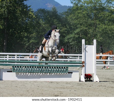Horse and rider clearing jump in local competition
