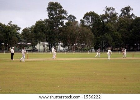 Community Cricket Game