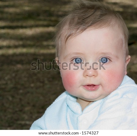 stock photo baby boy with amazing blue eyes in the park 1574327 top 10 amazing baby eyes in the world