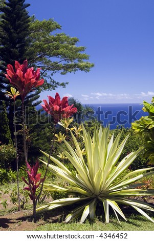 Hana Highway Hawaii