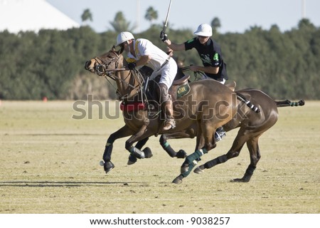 Polo players on opposing teams atop the ball